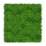 Kikuyu Instant Lawn – Supply & Professional Installation (Per 1m²) - Image 2