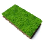 Kikuyu Instant Lawn – Supply & Professional Installation (Per 1m²)