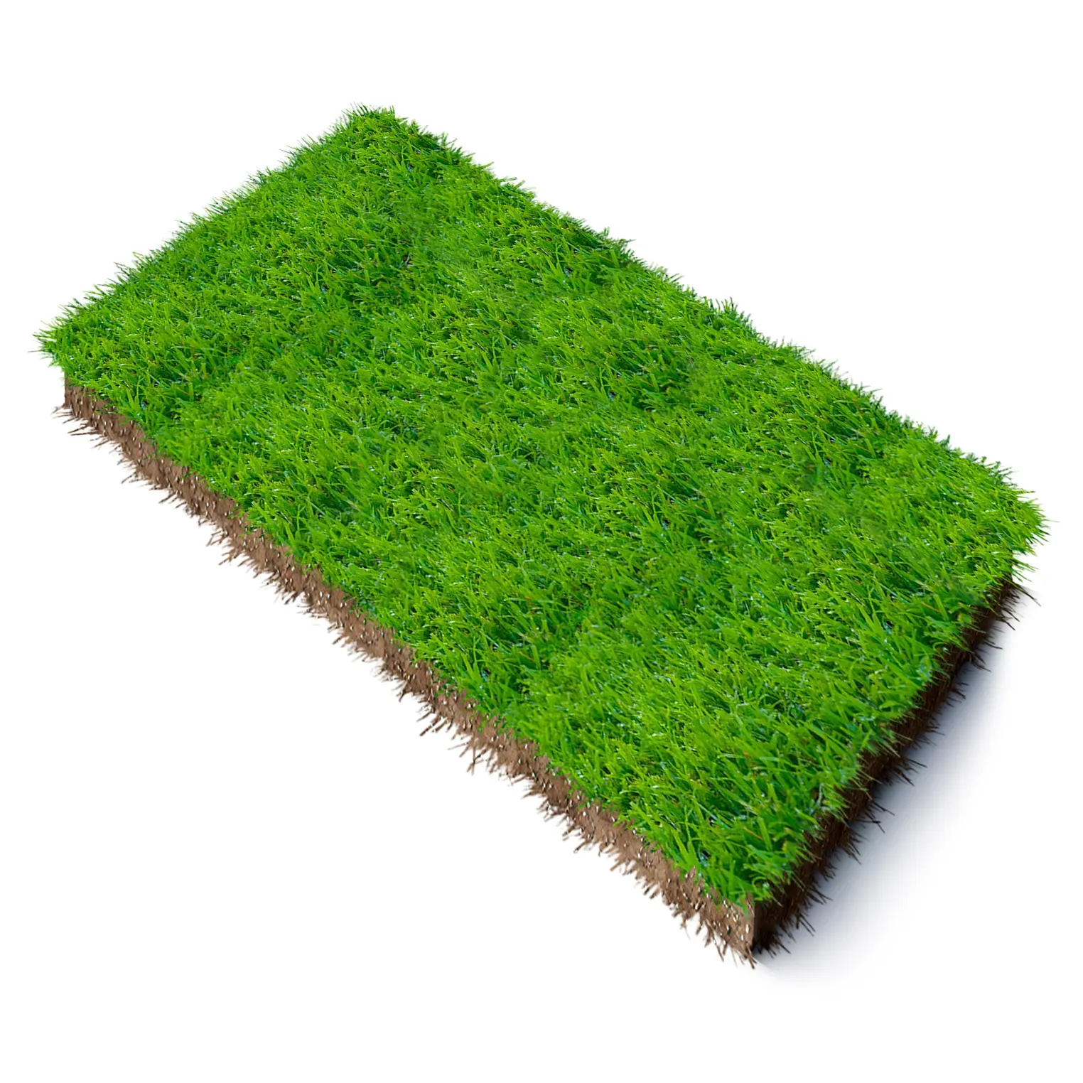 lawnitex_product_image_kikuyu-instant-lawn-1sqm Kikuyu Instant Lawn – Supply & Professional Installation (Per 1m²) - Image 1