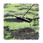 Lawn Dressing - 1 Cubic Meter (m³) - Image 2