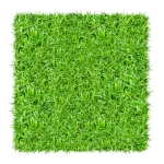 LM Instant Lawn - Supply & Professional Installation (Per 1m²) - Image 2