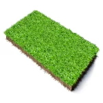 LM Instant Lawn - Supply & Professional Installation (Per 1m²)