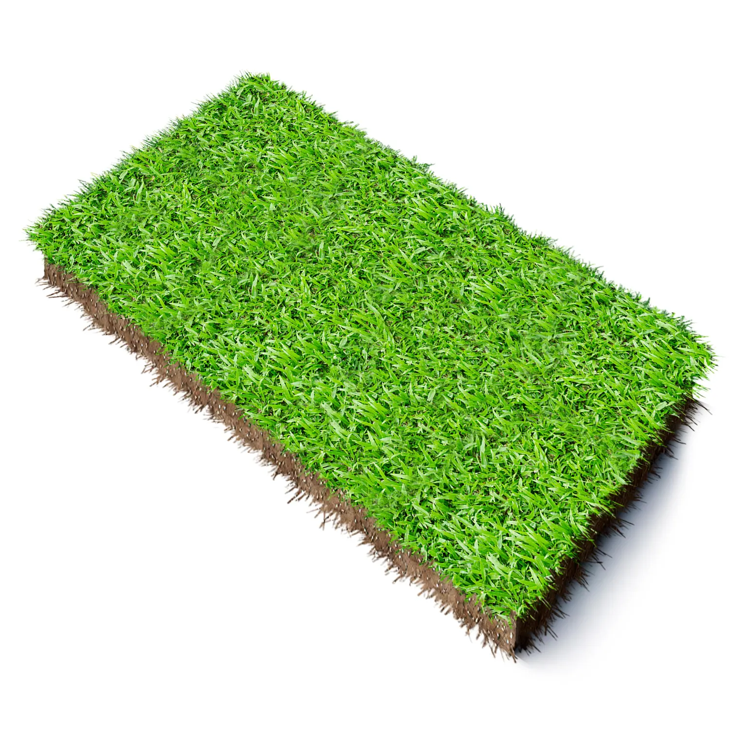 lawnitex_product_image_lm-instant-lawn-1sqm LM Instant Lawn - Supply & Professional Installation (Per 1m²) - Image 1