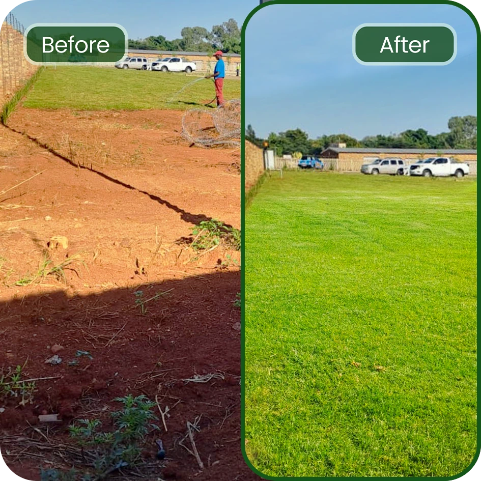Lawnitex-before-after-gauteng-2