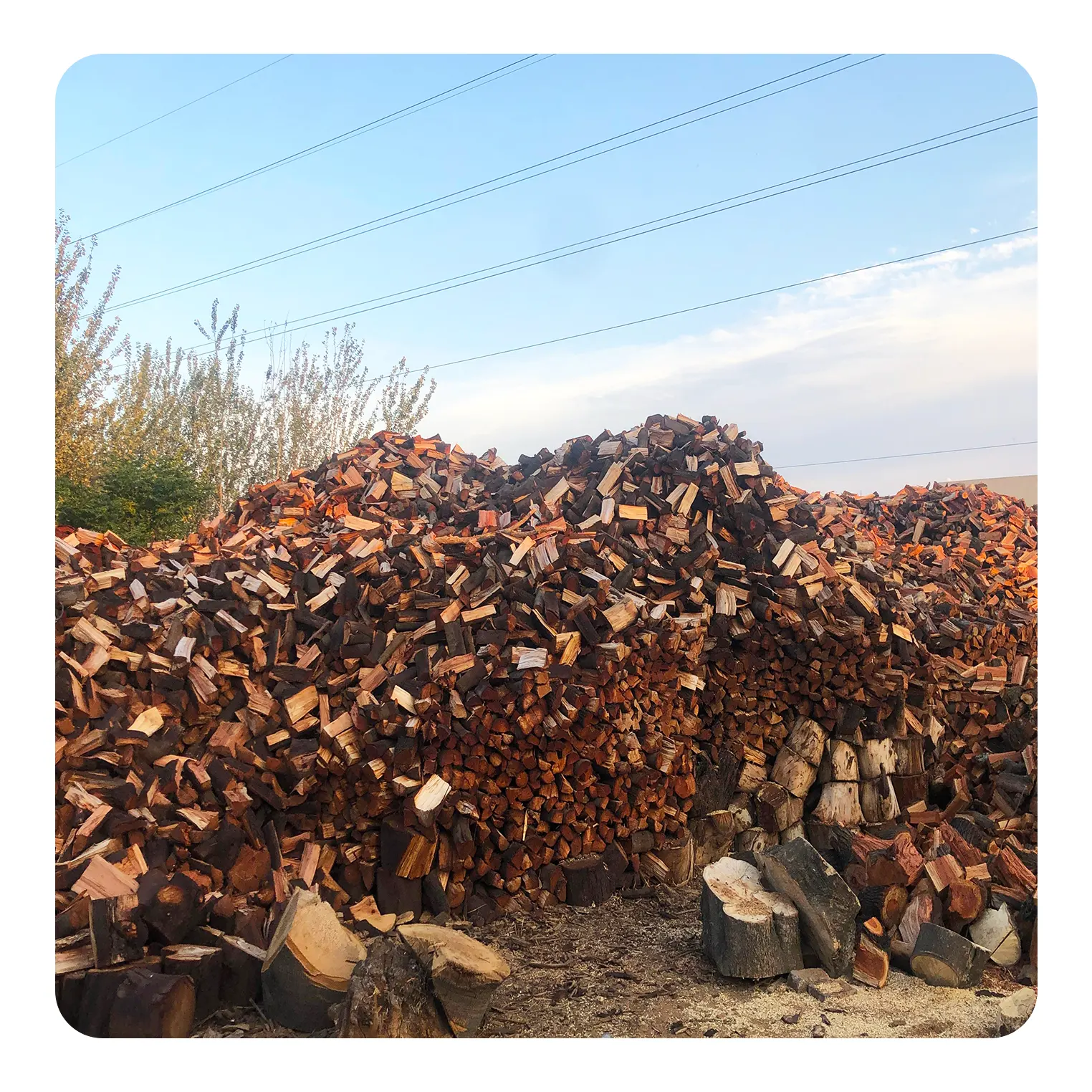 lawnitex_product_image_black-wattle-firewood-2