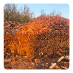 Blue Gum Firewood (25kg) Bulk Bundles - Dry Braai & Heating Wood - Image 2
