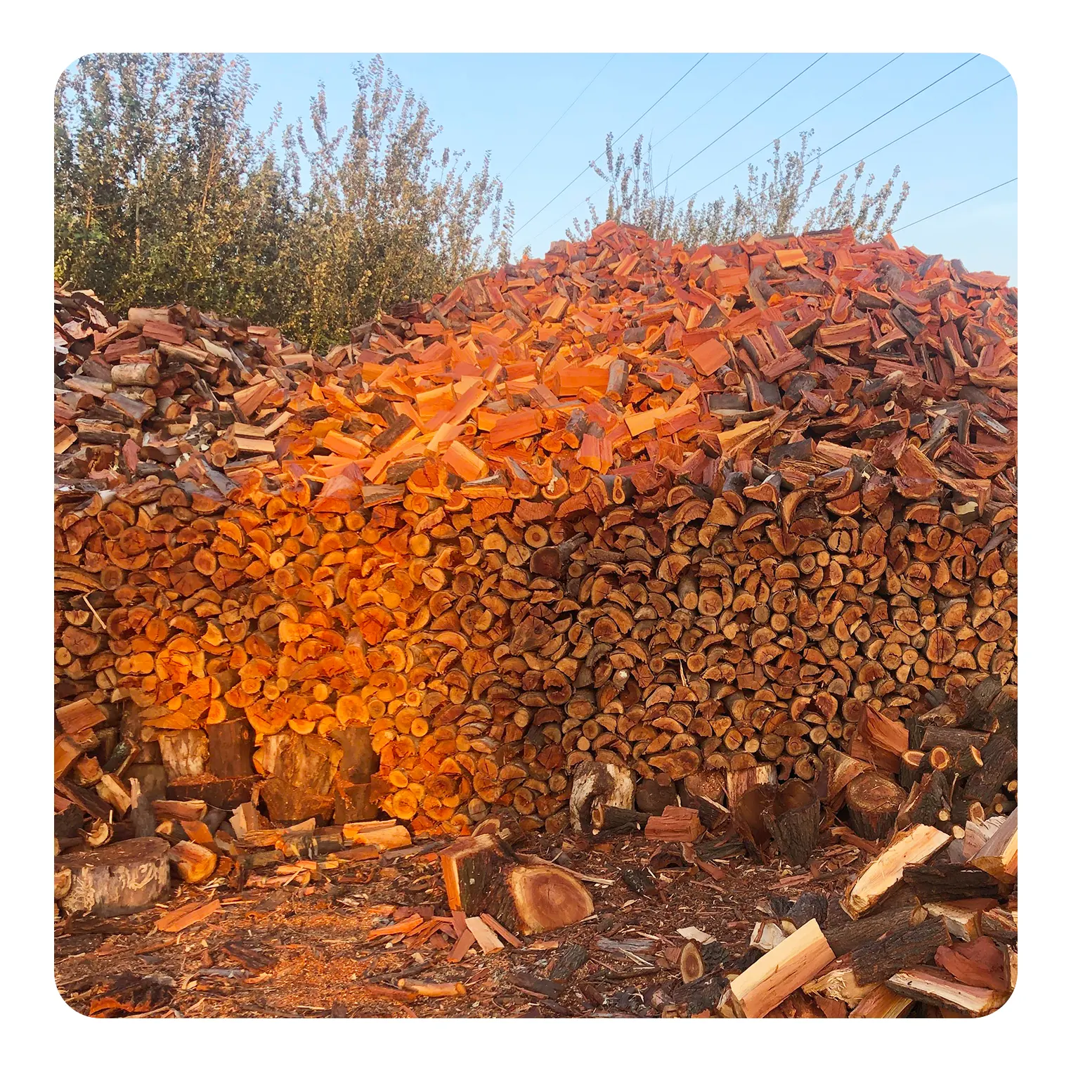 lawnitex_product_image_blue-gum-firewood